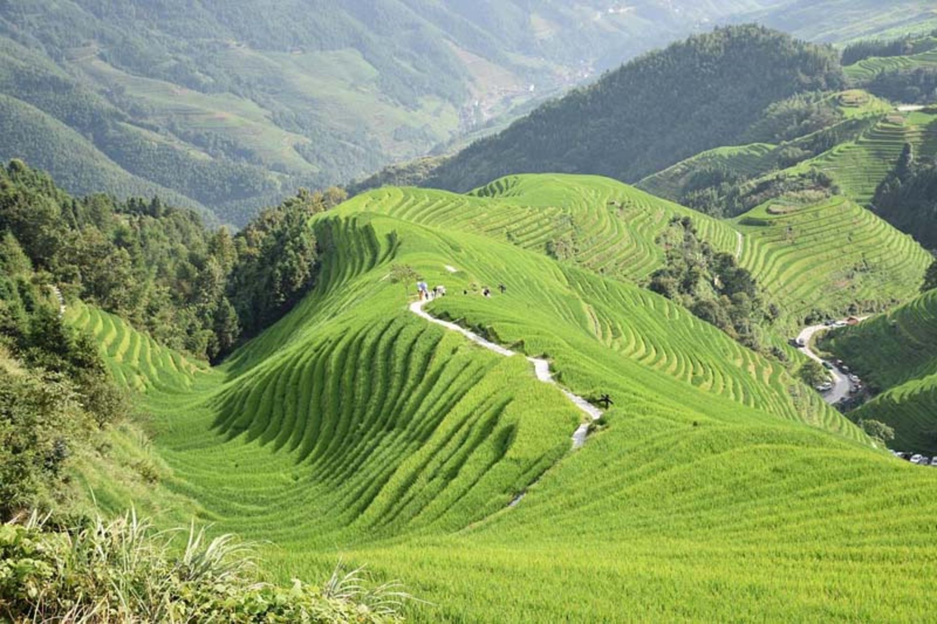 دورنمایی از طبیعت اطراف روستای پینگان 