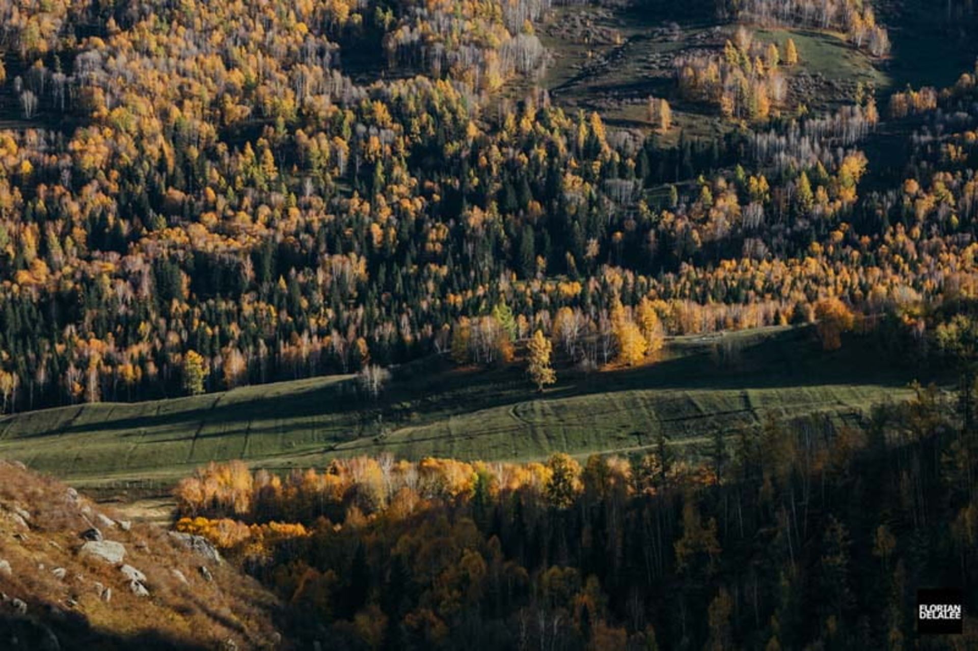 طبیعت جنگل و رودخانه روستای همو در چین در فصل پاییز