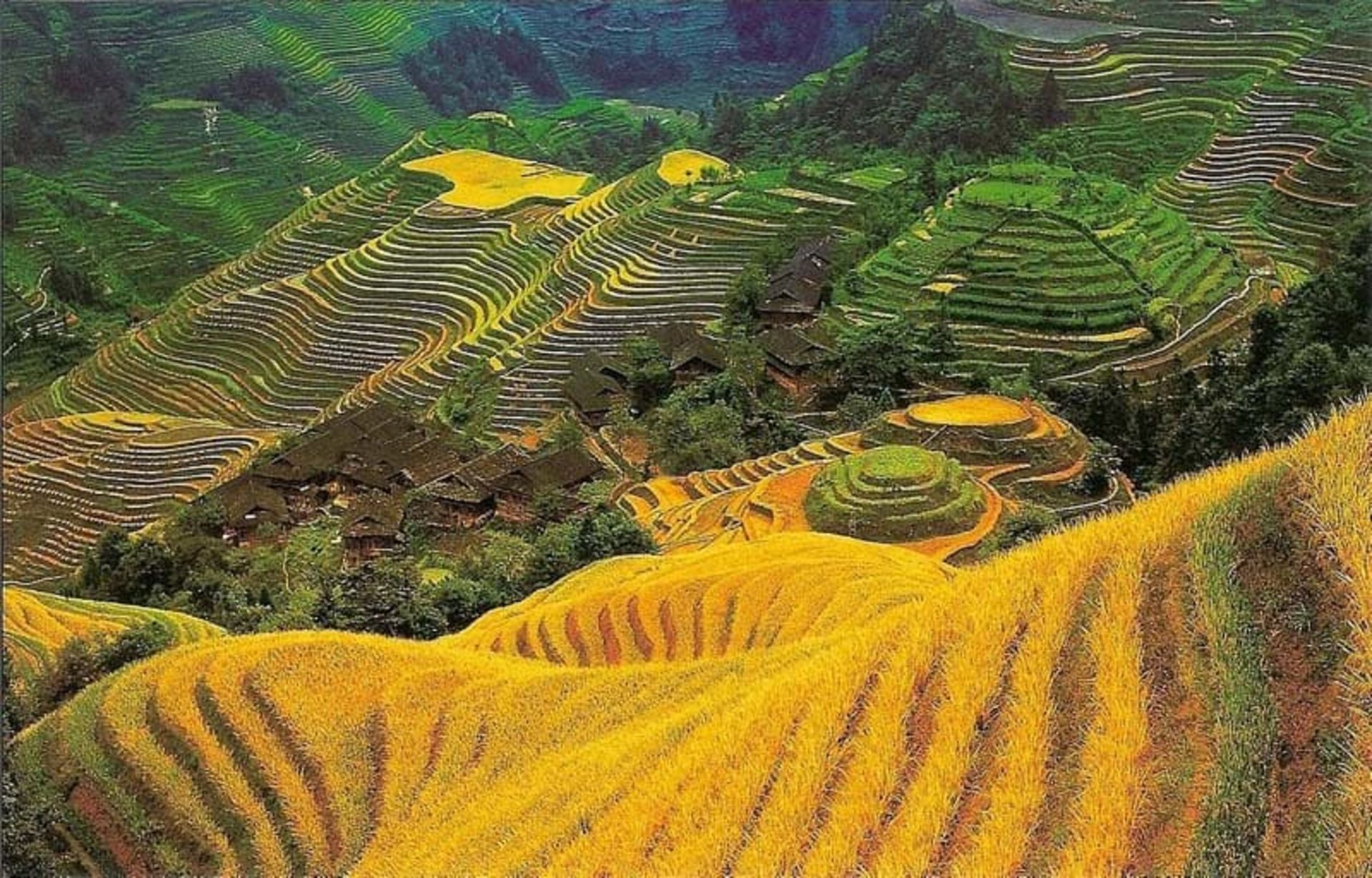 زیبایی مزارع پلکانی روستای پینگان در پاییز