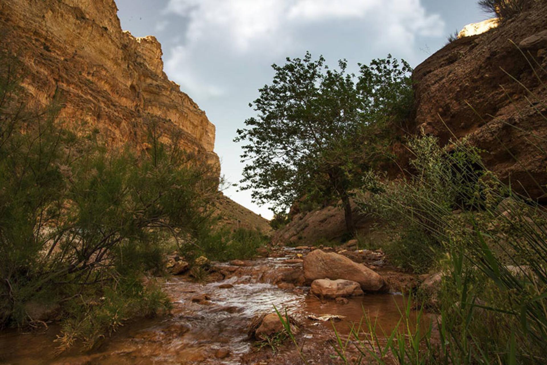 روستای واران دلیجان؛ منبع عکس: ویزیت ایران؛ عکاس: نامشخص