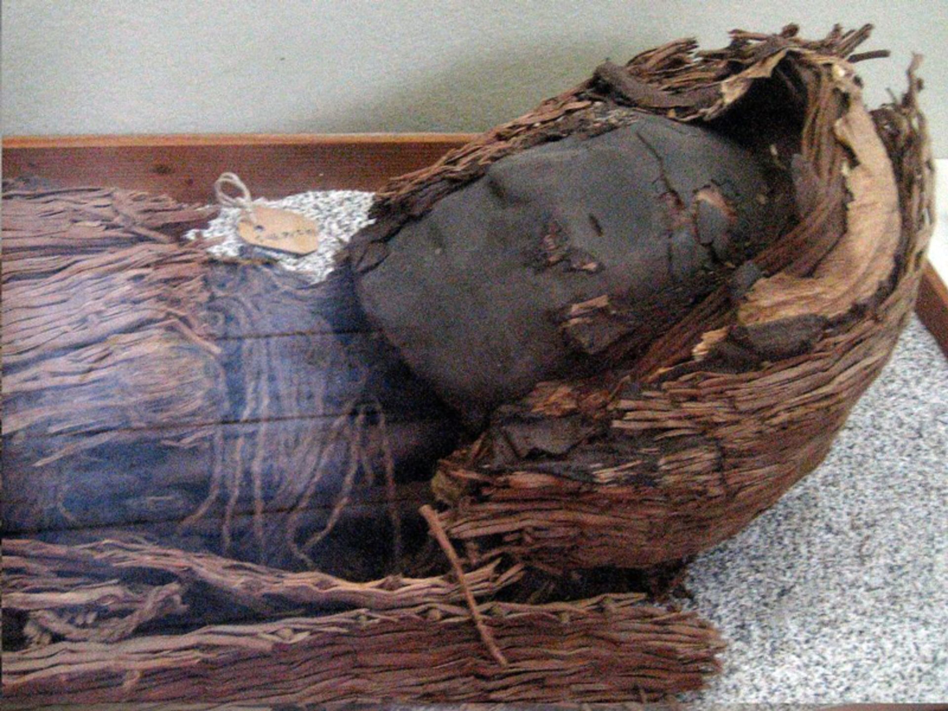 مومیایی شیلی
