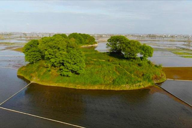تپه های باستانی سرخرود؛ منبع عکس: کجارو؛ عکاس: نامشخص