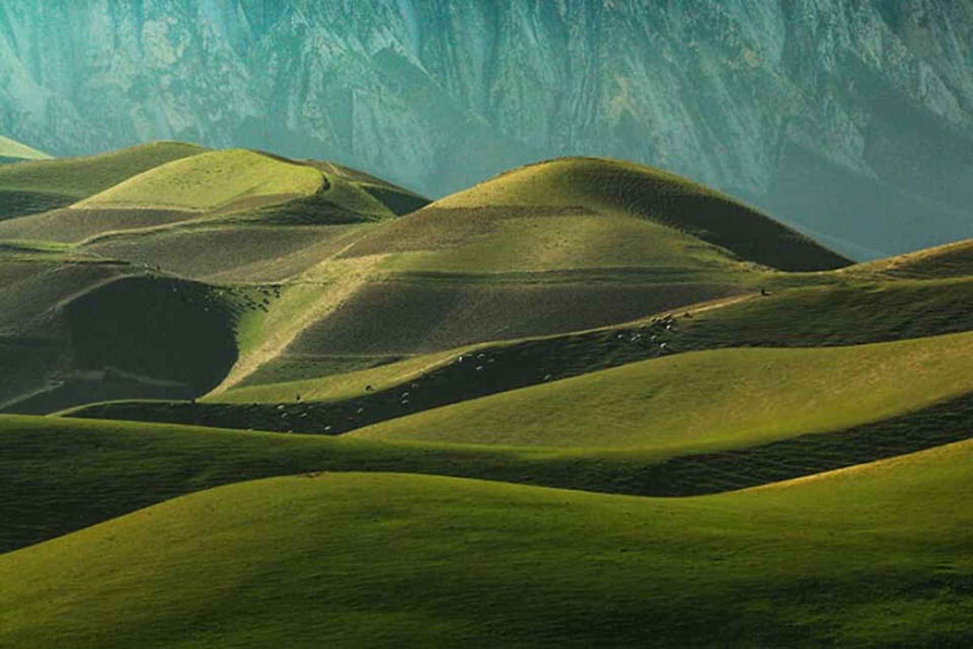 دشت کوهستانی سرسبز در افغانستان