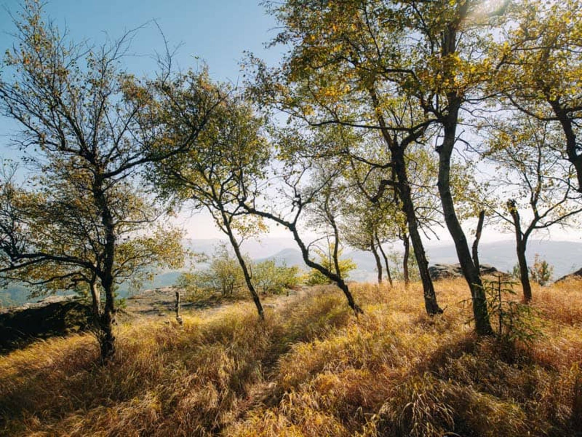 طبیعت پاییزی در پارک ملی ساکسون سوئیس