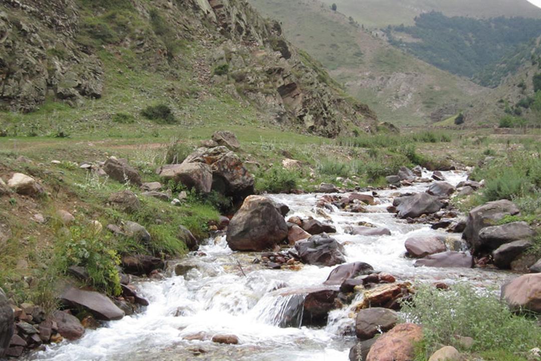 روستای دلیر؛ منبع عکس: گوگل مپ؛ عکاس: P T