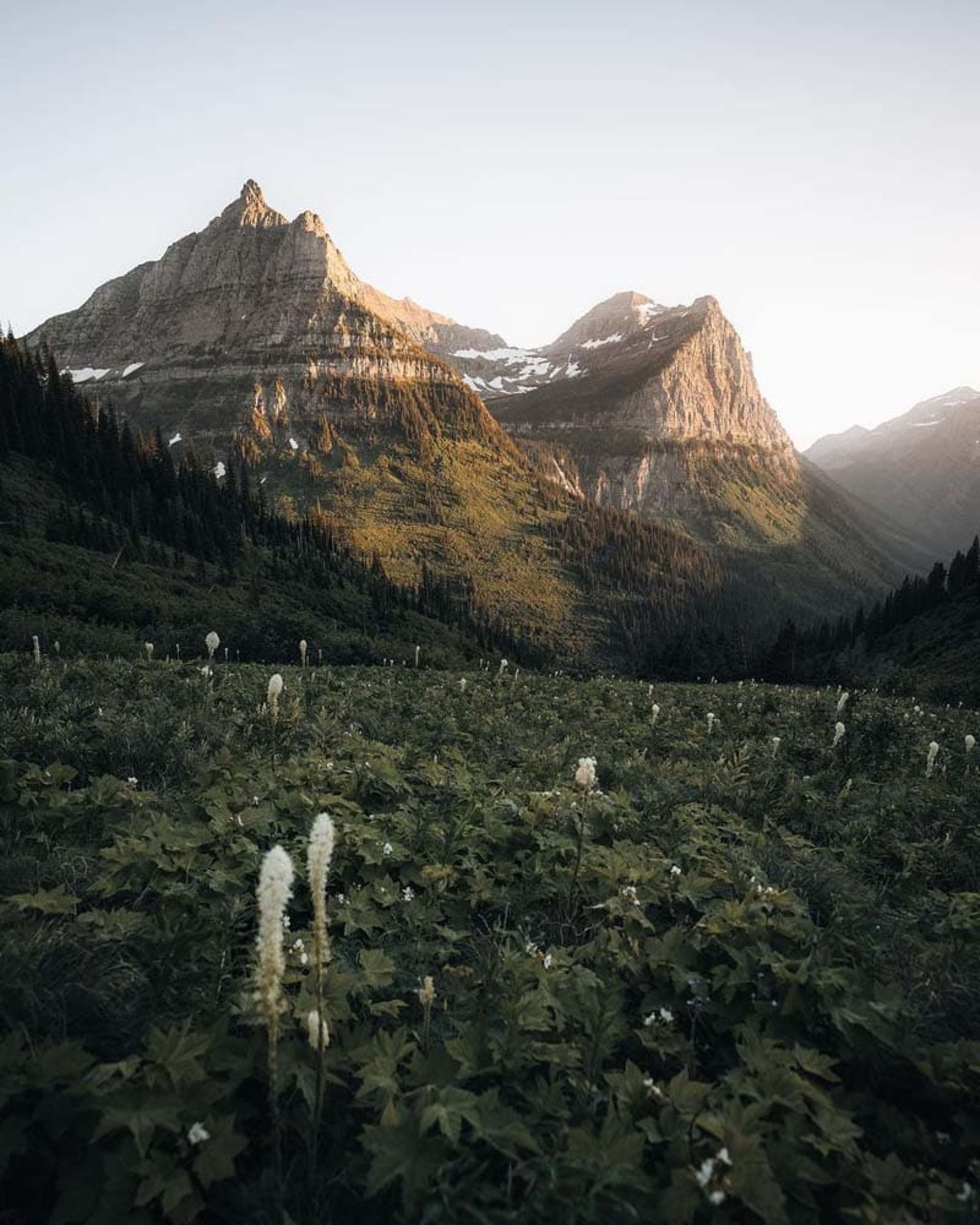 طبیعت پارک ملی گلیشر (Glacier National Park) در ایالت مونتانا