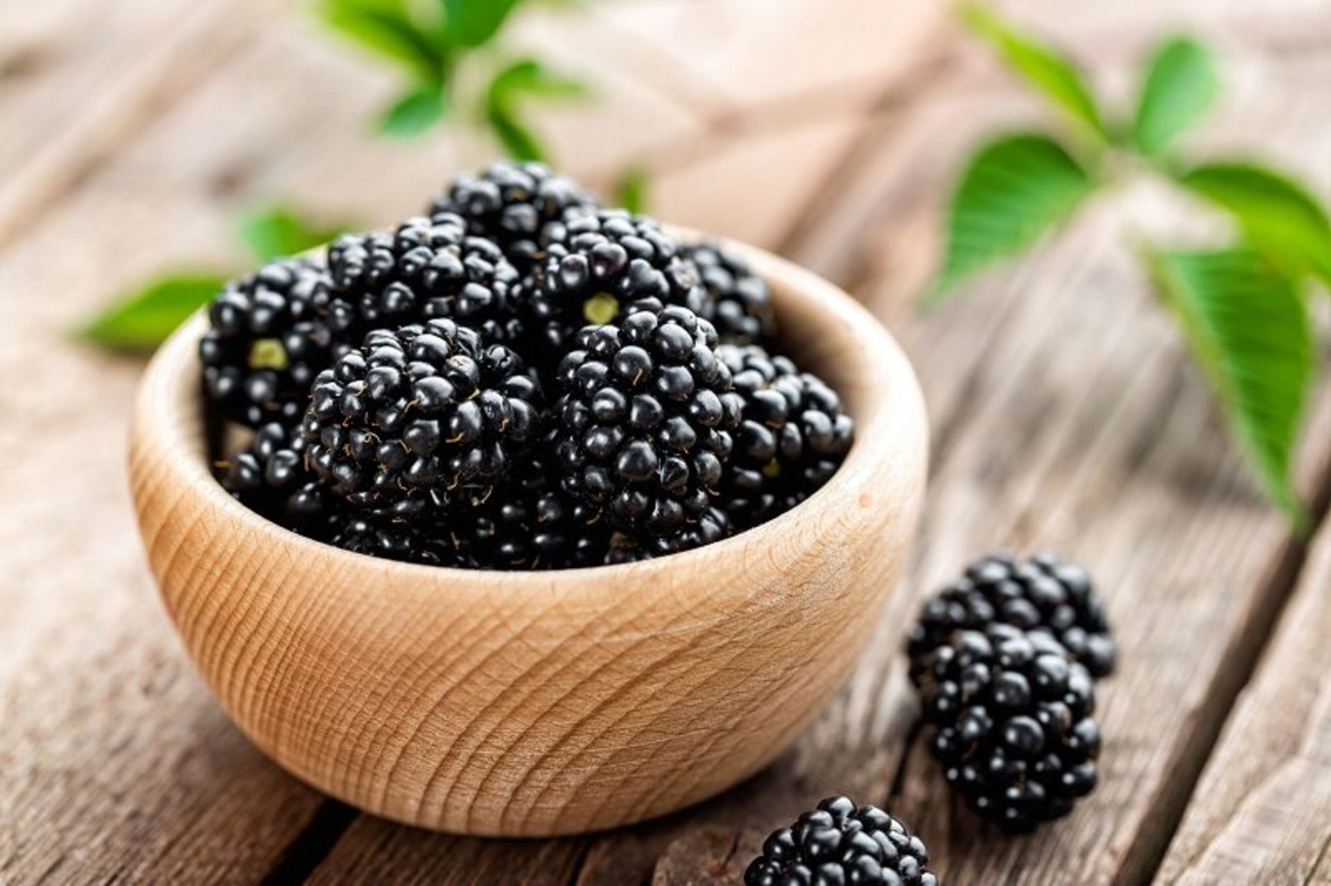 تمشک؛ منبع عکس؛ وب‌سایت foodsguy.com؛ عکاس: نامشخص