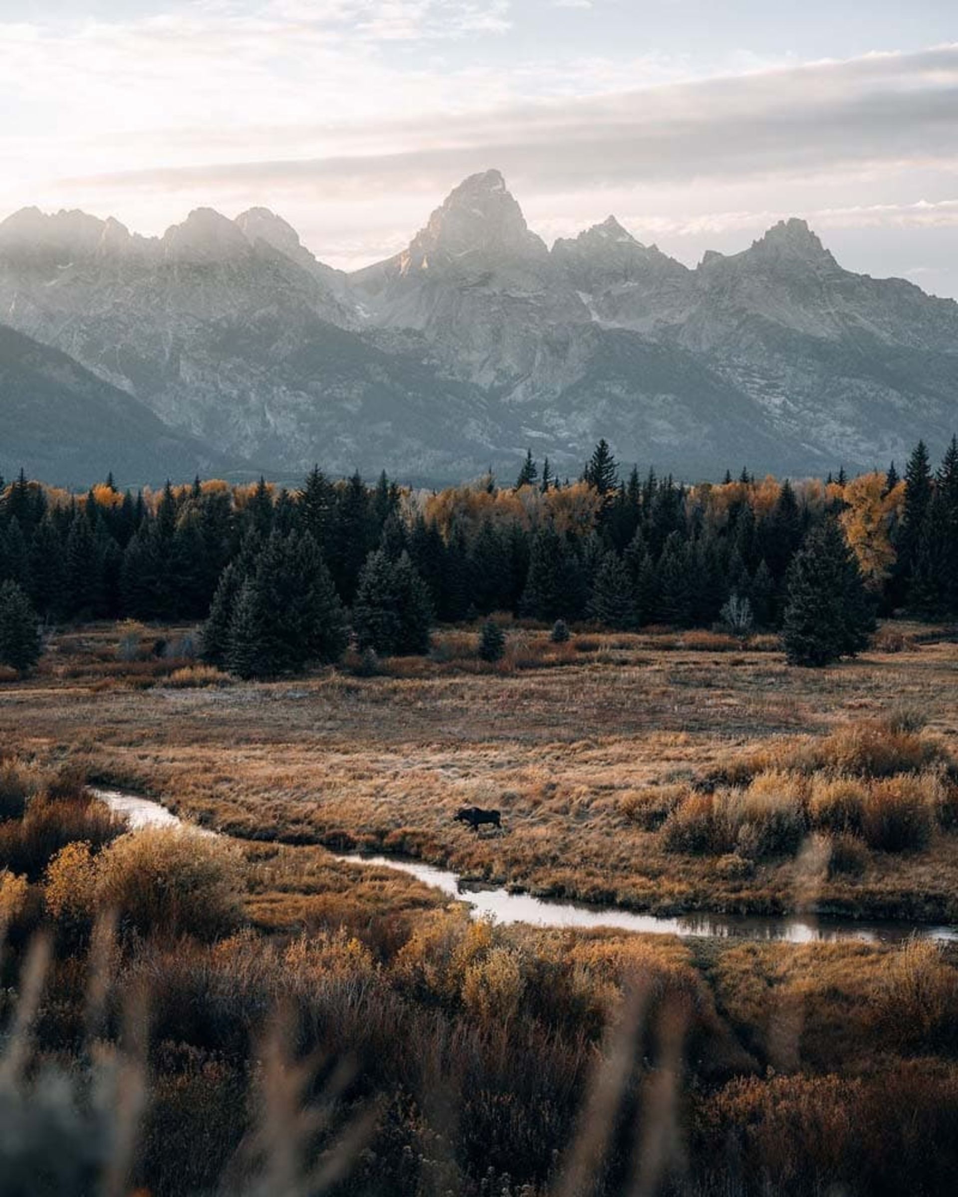 رودخانه‌ای در میان پارک ملی گرند تیتون (Grand Teton National Park)