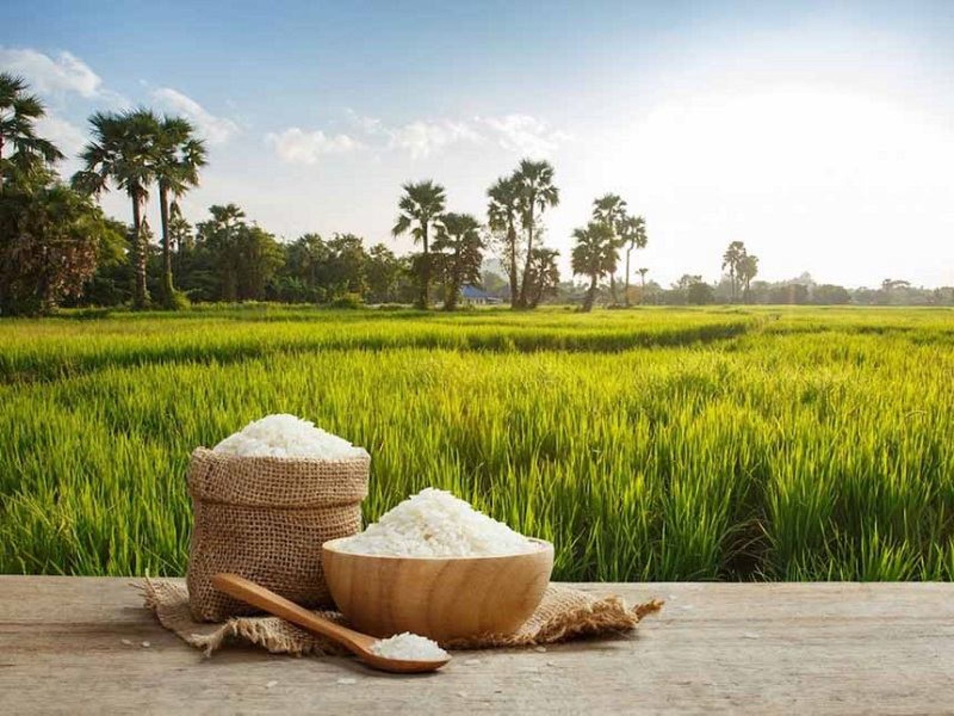 برنج گیلانی؛ منبع عکس: وب‌سایت cavishfood.com؛ عکاس: نامشخص 