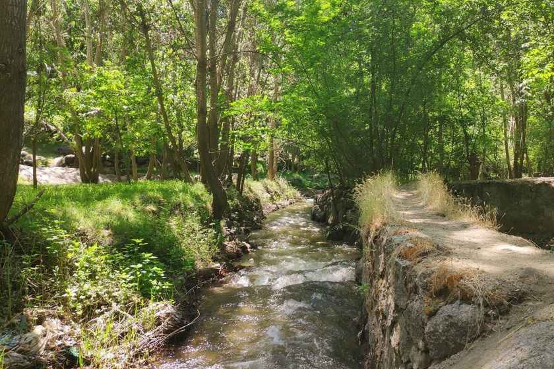 پارک کمربسته. منبع عکس: گوگل مپ. عکاس: حامد زارعی