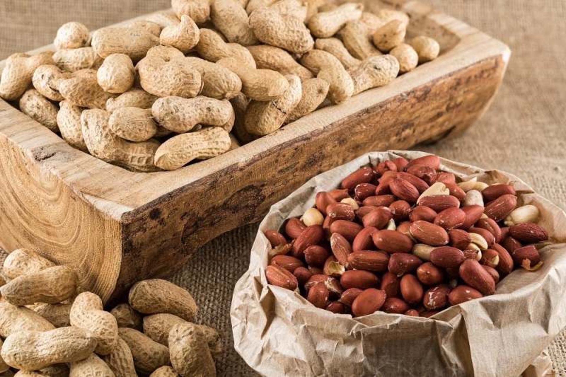 بادام زمینی آستانه؛ منبع عکس: وب‌سایت kunjedi.ir؛ عکاس: نامشخص