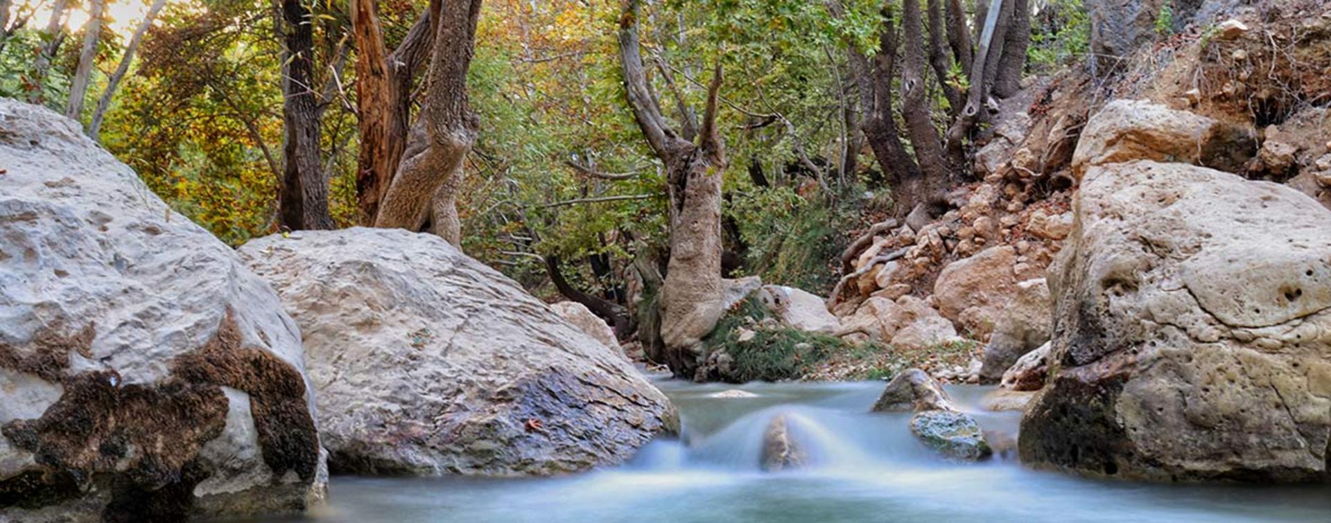 بهشت گمشده؛ منبع عکس: گوگل مپ؛ عکاس: حمزه کرمی