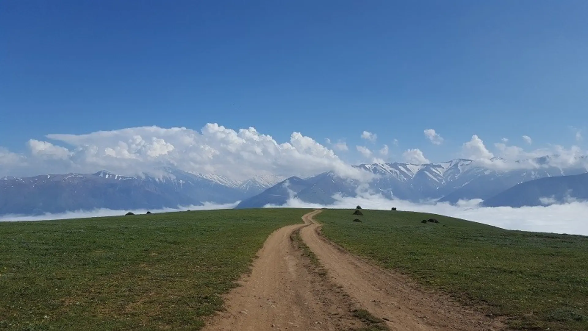 مسیر دسترسی به جنگل ابر گرسماسر؛ منبع عکس: گوگل مپغ عکاس: علی صنایی
