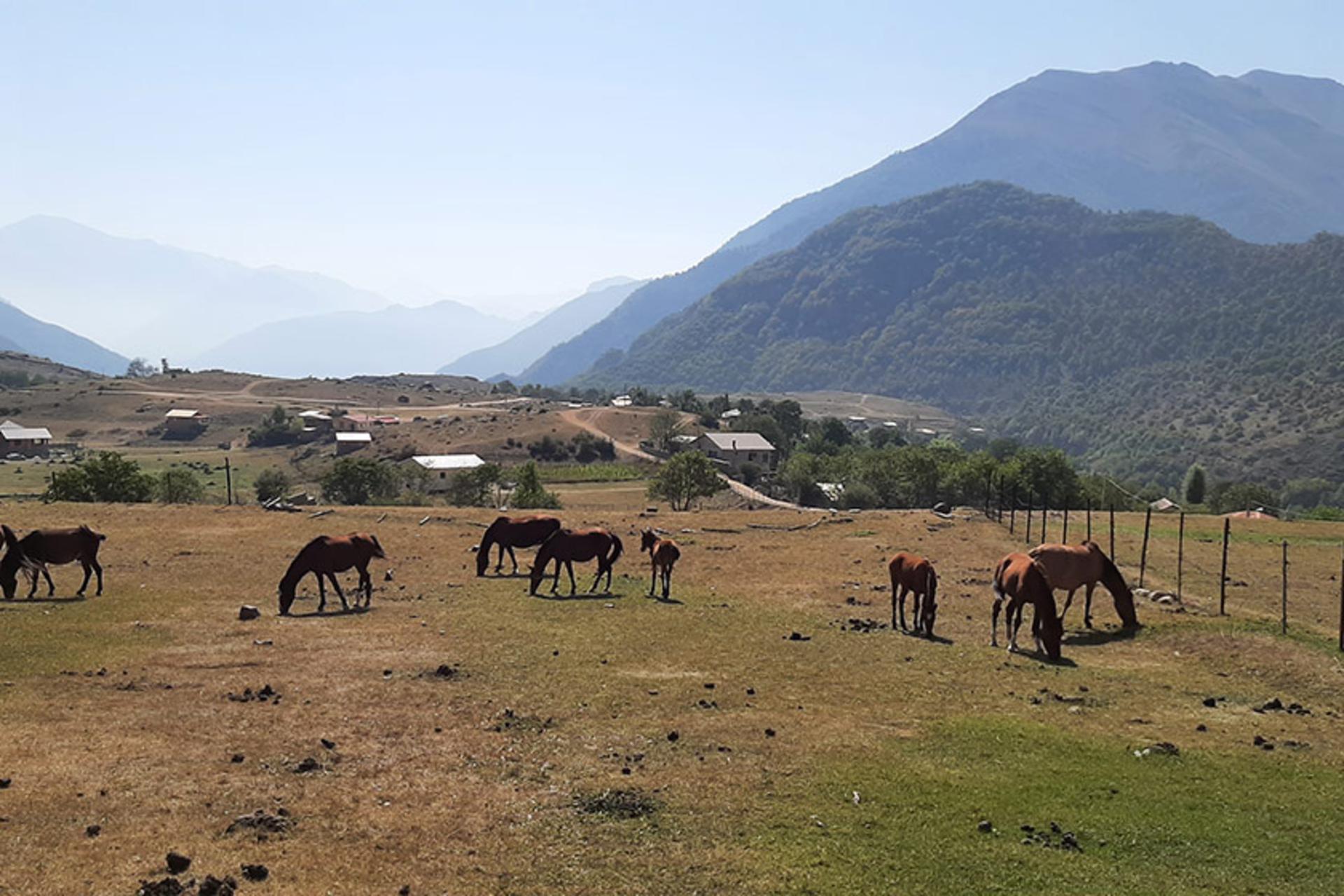 روستای الیت مرزن آباد؛ منبع عکس: گوگل مپ؛ عکاس: پریسا مهدی‌قلی