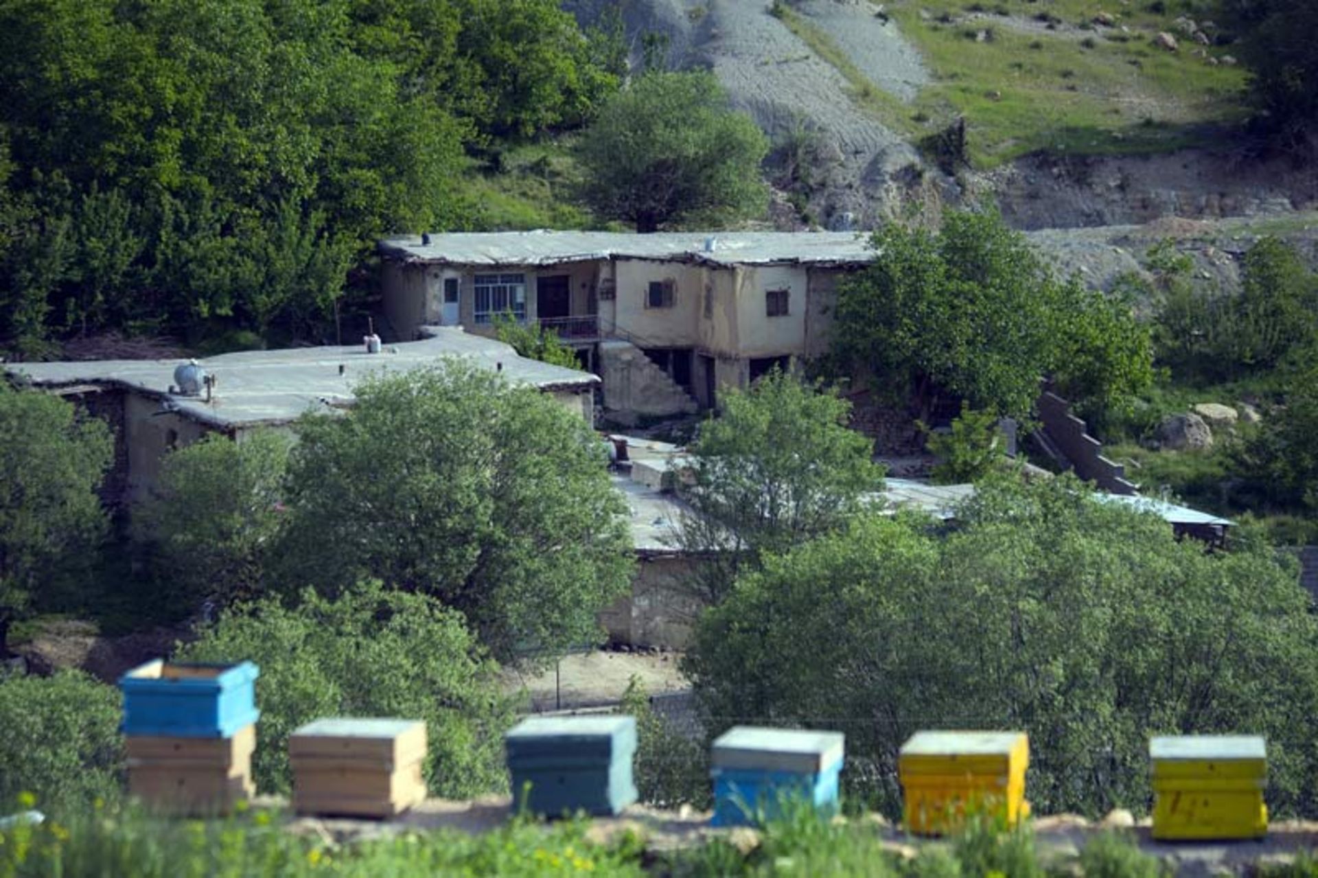 کندوهای زنبورداران در روستای خفر سمیرم مقابل خانه های روستایی، منبع عکس: ویکی مدیا، عکاس: مصطفی معراجی