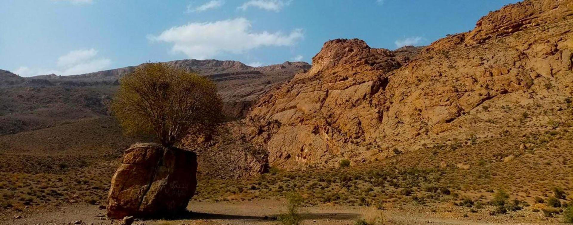 مروارید سبز ارسنجان؛ منبع عکس: نشان؛ عکاس: نامشخص