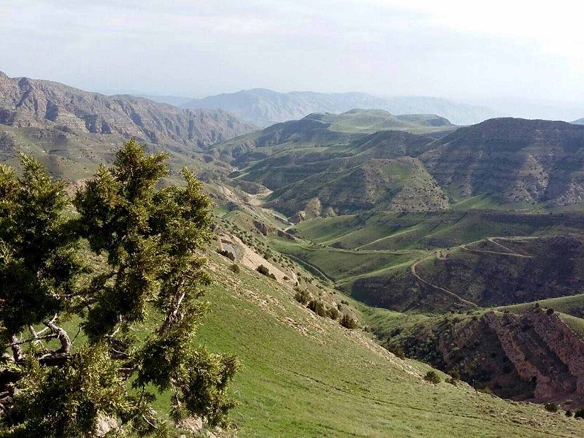ارتفاعات و طبیعت زیبای پارک ملی تندوره؛ منبع عکس: گوگل مپ؛ عکاس: حسین رهنما