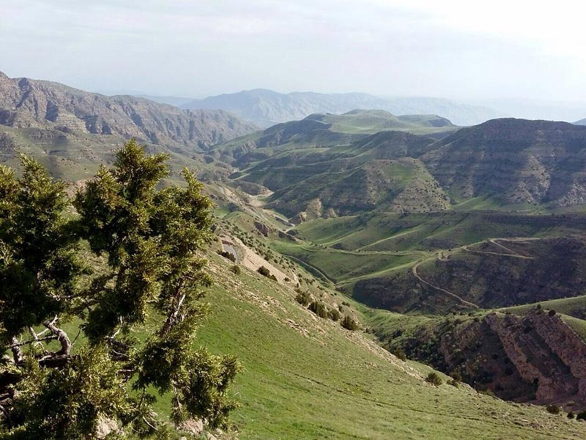ارتفاعات و طبیعت زیبای پارک ملی تندوره؛ منبع عکس: گوگل مپ؛ عکاس: حسین رهنما