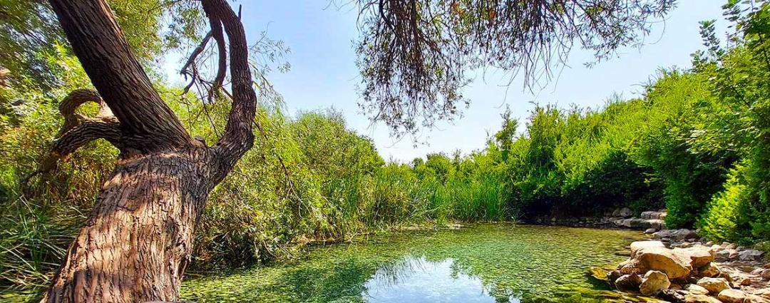 طبیعت کوار؛ منبع عکس: گوگل مپ؛ عکاس: زهره کریمی