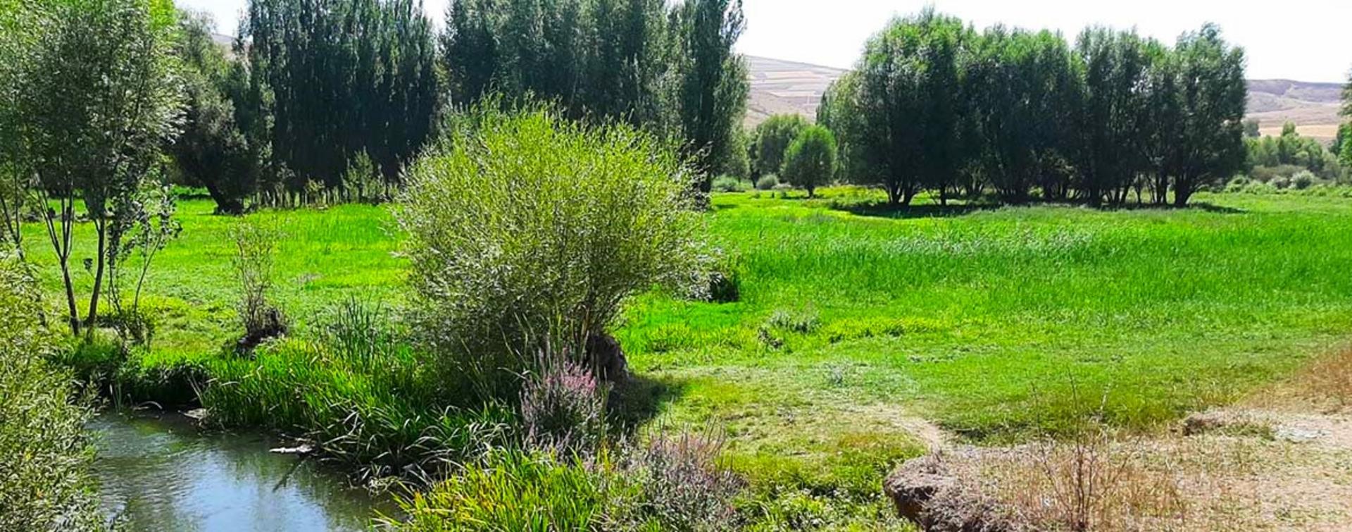 طبیعت زیبای نیر؛ منبع عکس: نشان؛ عکاس: نامشخص