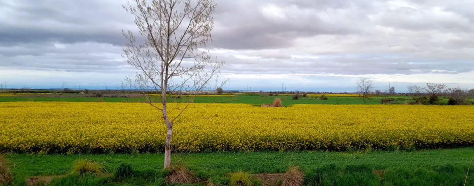 طبیعت زیبای گلوگاه؛ منبع عکس: گوگل مپ؛ عکاس: علی صیدانلود