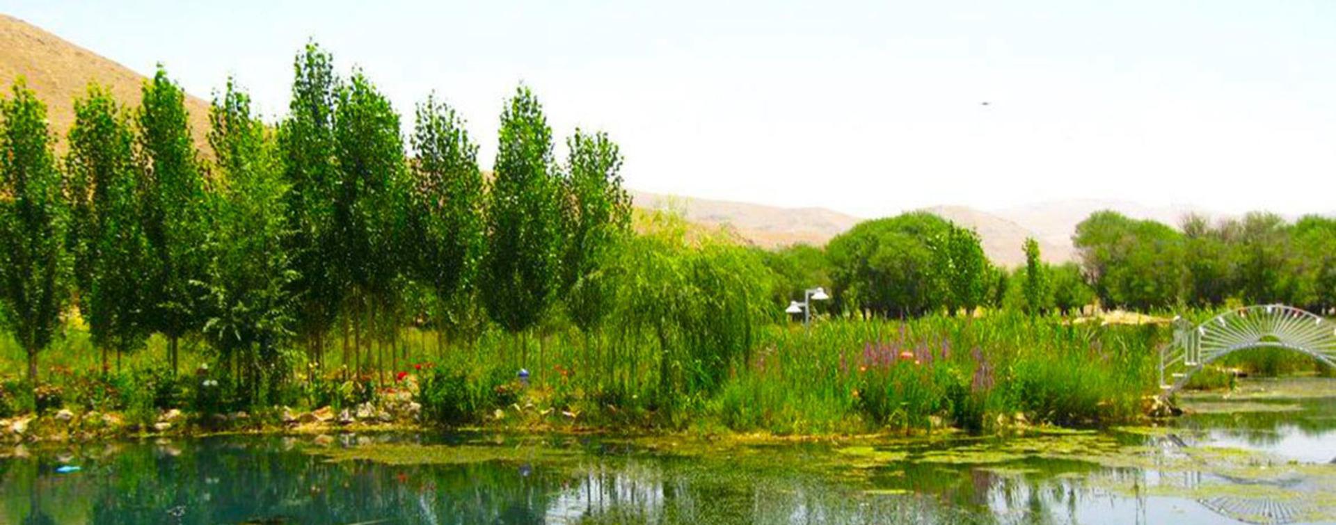 باتلاق گور بهرام؛ منبع عکس: ویکی‌مدیا؛ عکاس: مهدی آقاشیری