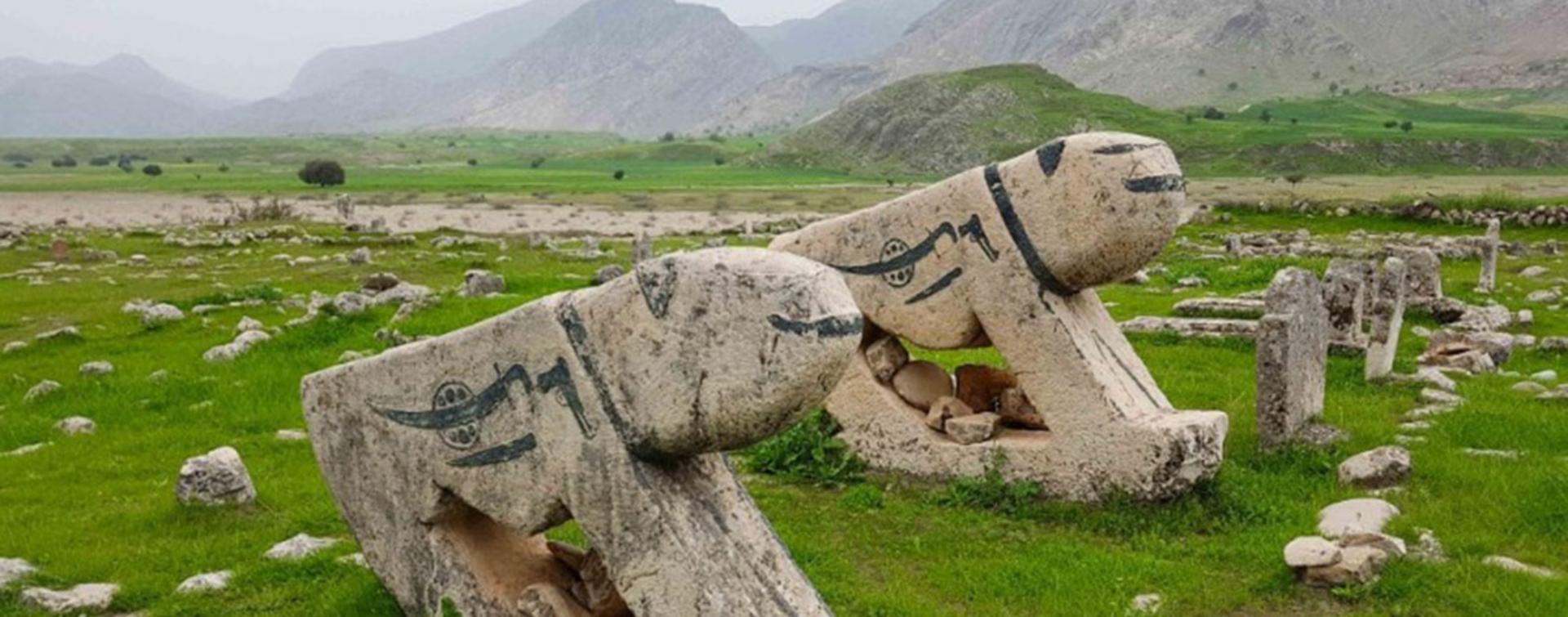 دشت سوسن؛ منبع عکس: گوگل مپ؛ عکاس: امید مقدسی
