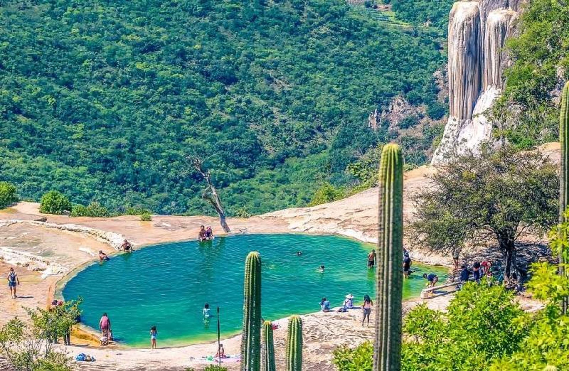 چشم انداز آبشار و پوشش گیاهی اطراف آن؛ منبع عکس: وب سایت Tripadvisor.com. عکاس: نامشخص