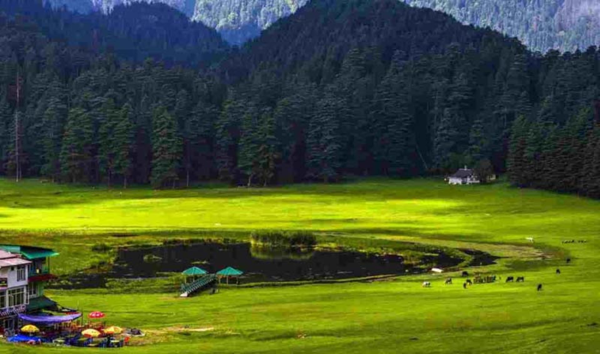 دریاچه خاجیار در میان منظره‌ای سرسبز