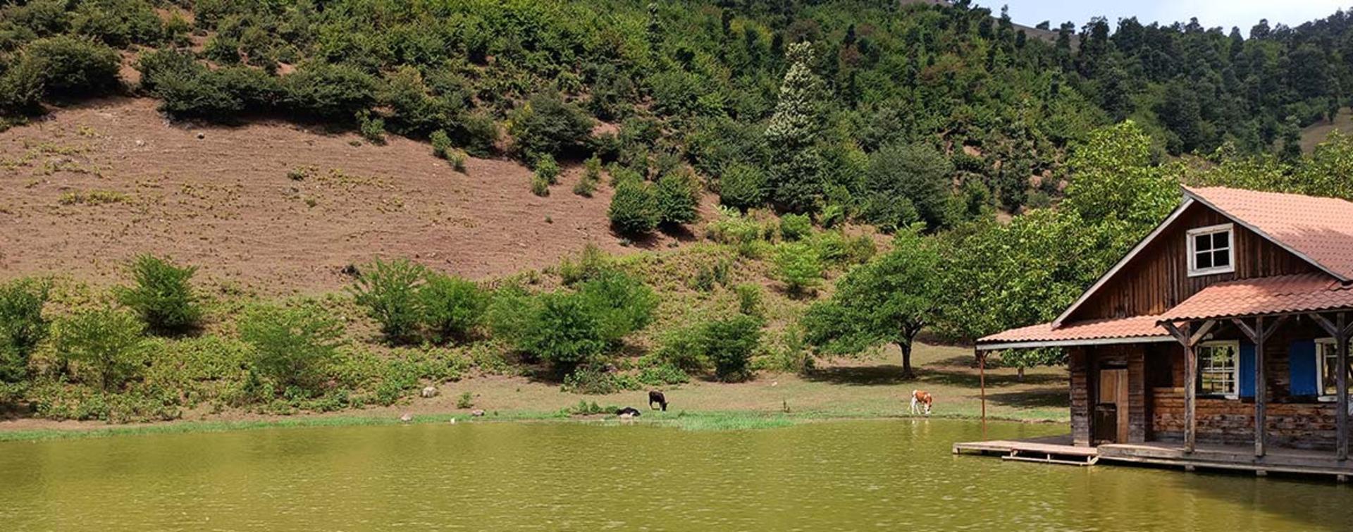 روستای استخرگاه؛ منبع عکس: گوگل مپ؛ عکاس: Hadise Azdou