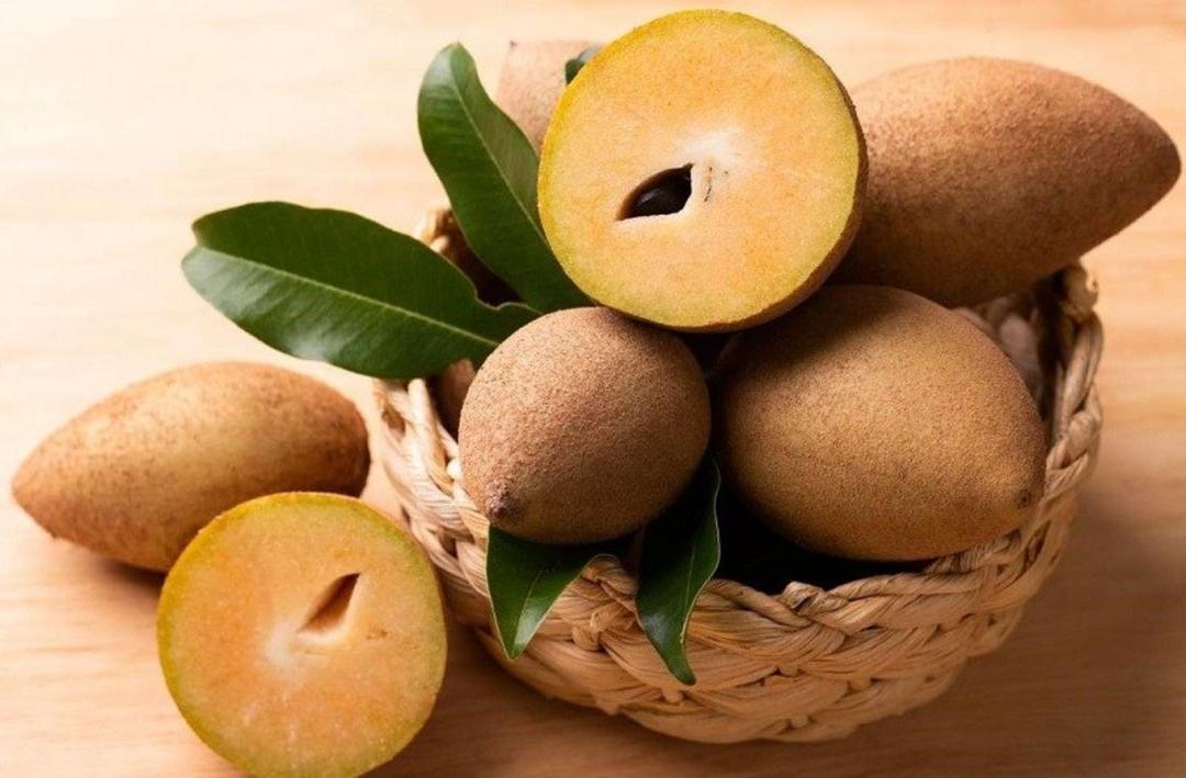 چیکو؛ منبع عکس: وب‌سایتFararu.com؛ عکاس: نامشخص 