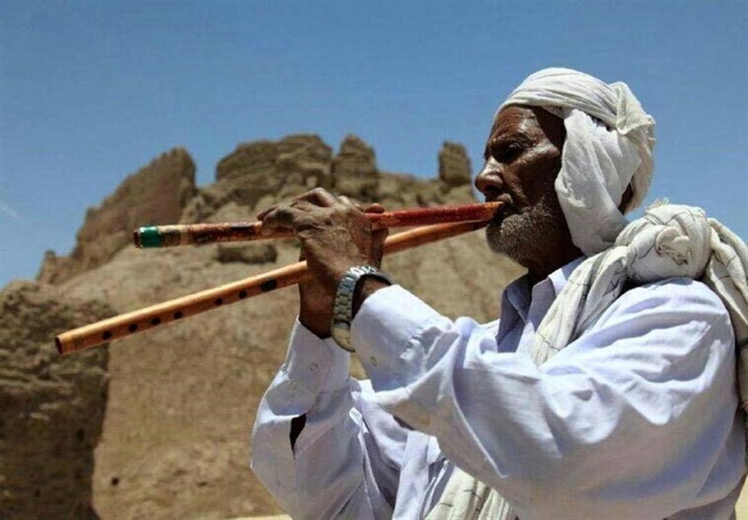 ساز دونلی؛ منبع عکس: وب‌سایت Khabarfoori.com؛ عکاس: نامشخص 