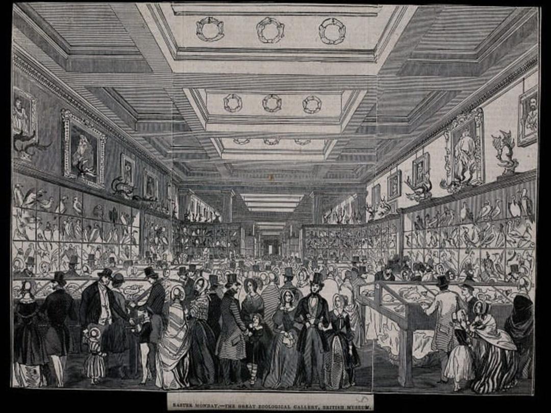 موزه بریتانیا در اواخر قرن هجدهم؛ منبع عکس: Europeana، عکاس: نامشخص