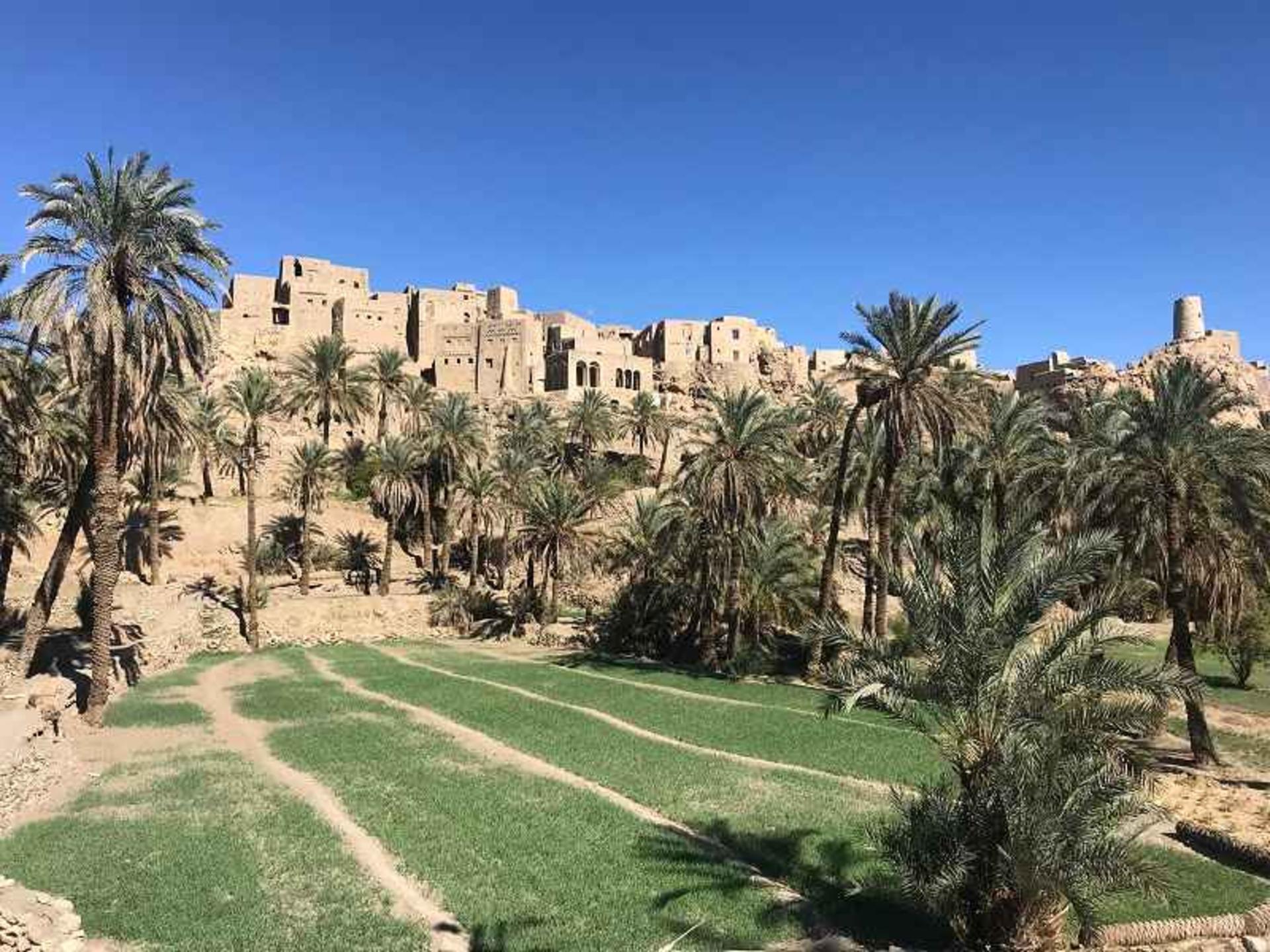 نخلستان‌های اطراف روستای پلکانی نایبند؛ منبع عکس: گوگل مپ؛ عکاس: محمدرضا شاهپسند