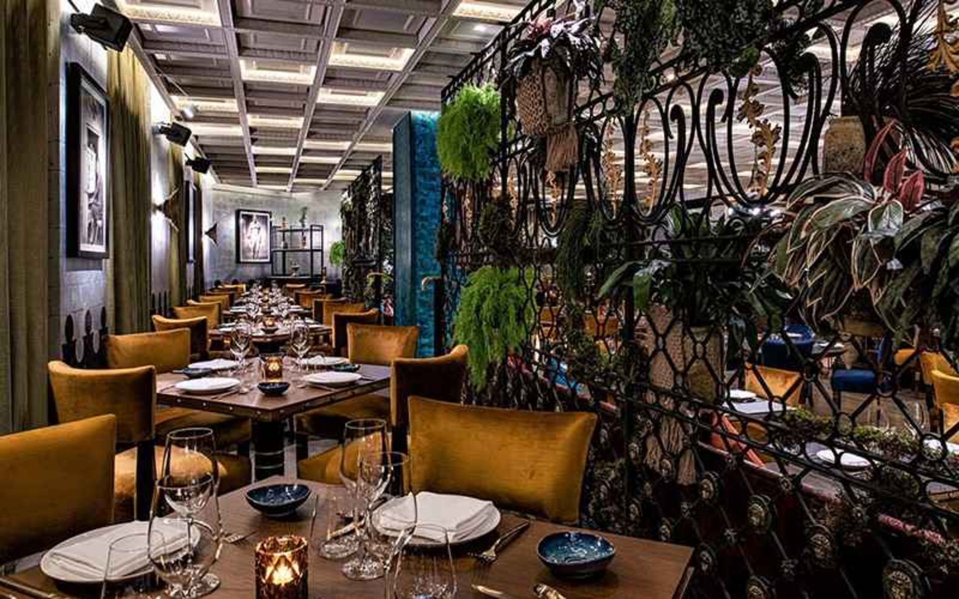 فضای داخلی رستوران کویا دوحه، منبع عکس: timeoutdoha.com، عکاس: نامشخص