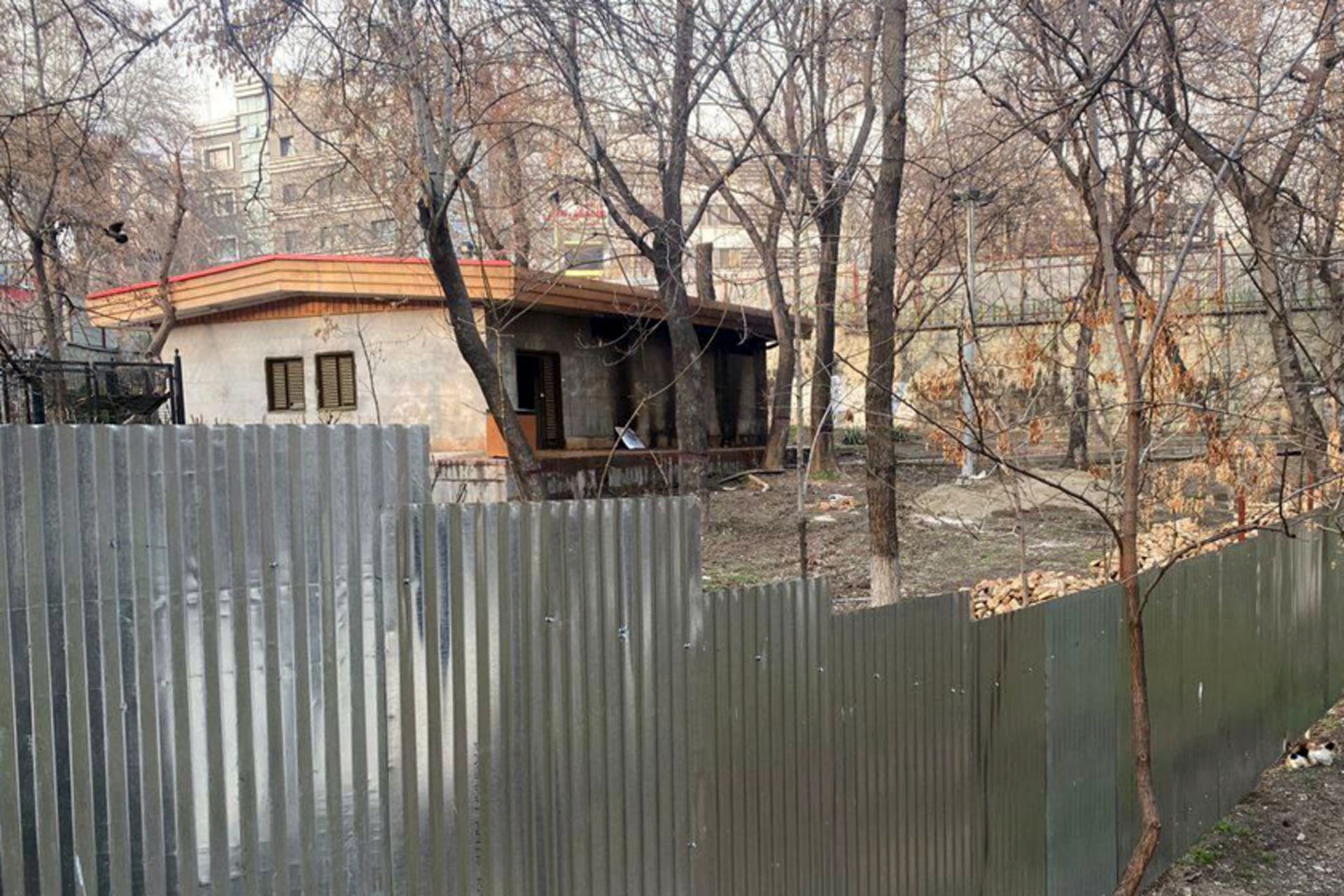 پارک قیطریه