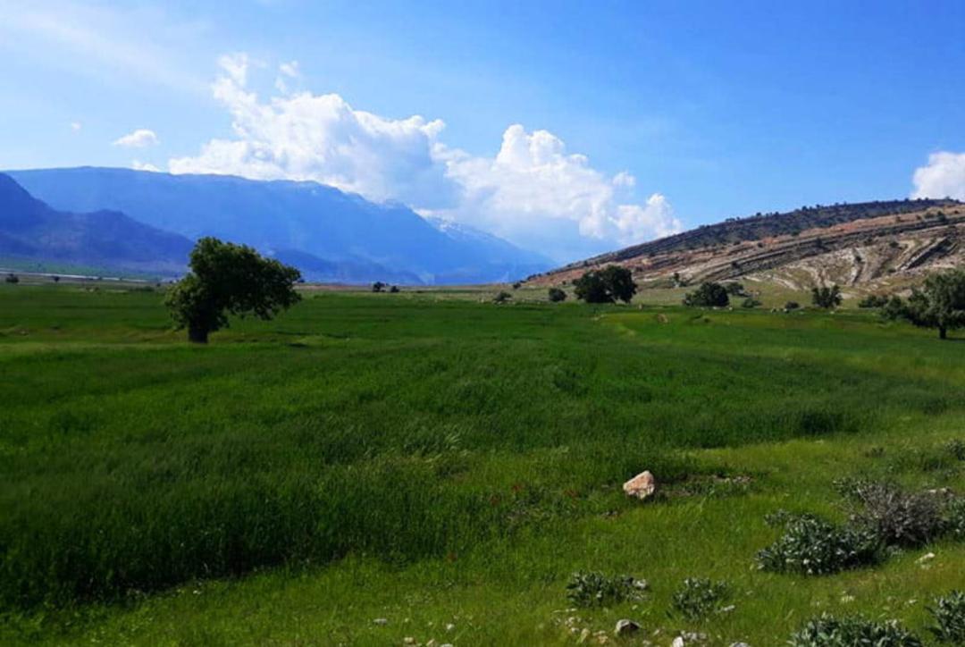 دشت سرسبز روستای درب انارستان کوهپایه کرمان، منبع عکس: سایت گردشگری کرمان، عکاس: نامشخص