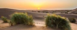 کویر مصر؛ منبع عکس: 500px؛ عکاس: نامشخص