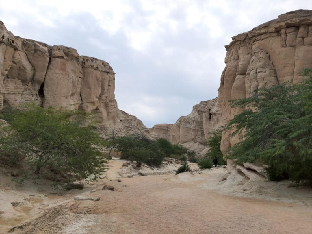 درختان سبز در تنگه چاهکوه قشم زیر آسمان ابری، منبع عکس: ویکی مدیا، عکاس: ایمان فخری