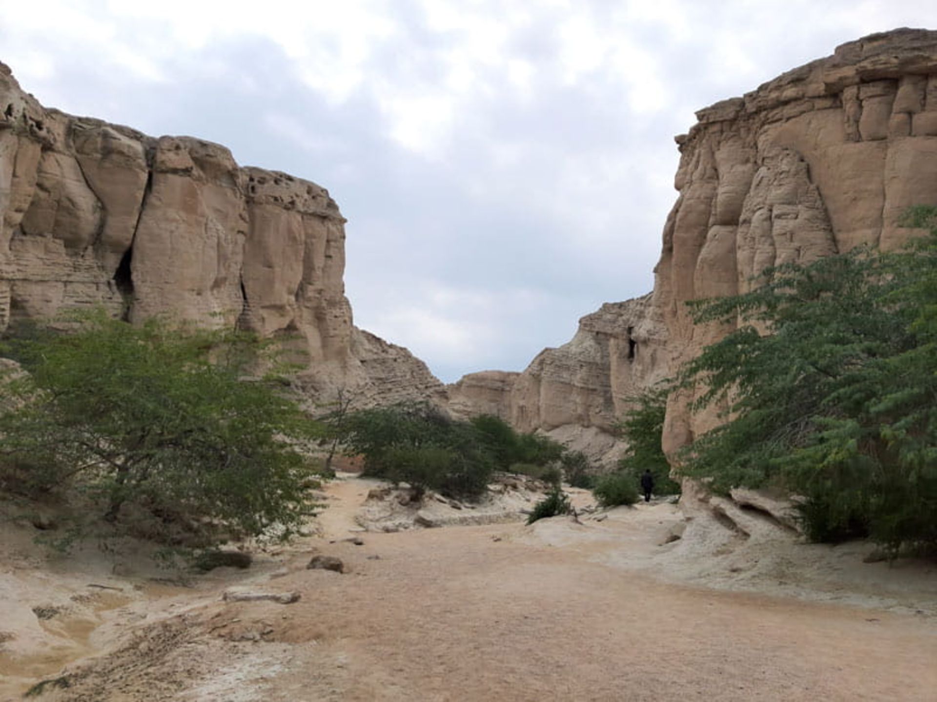 درختان سبز در تنگه چاهکوه قشم زیر آسمان ابری، منبع عکس: ویکی مدیا، عکاس: ایمان فخری