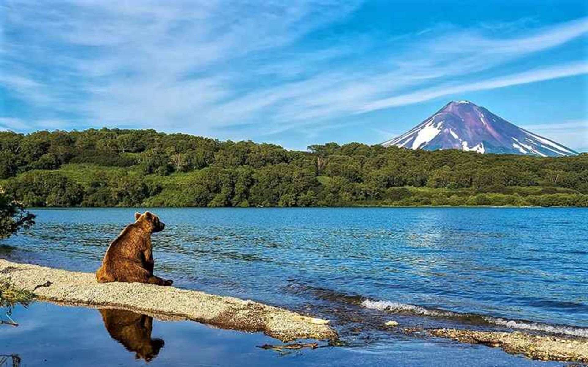 خرس قهوه ای در شبه جزیره کامچاتکا روسیه، منبع عکس: worldatlas.com، عکاس: نامشخص