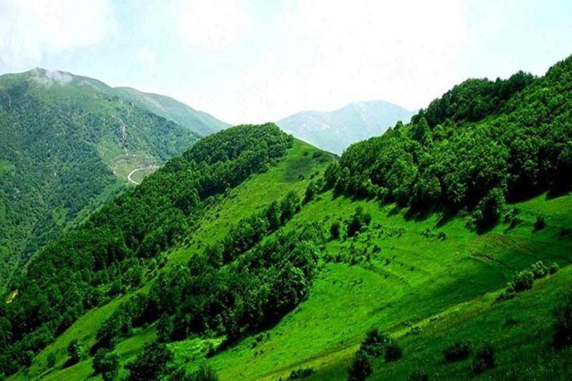 تپه های سرسبز جنگل دیزمار، منبع عکس: خبرگزاری مهر، عکاس: نامشخص