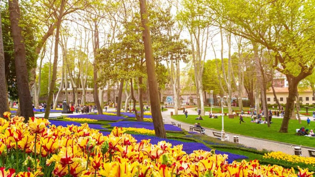گل های رنگارنگ در پارک گلخانه