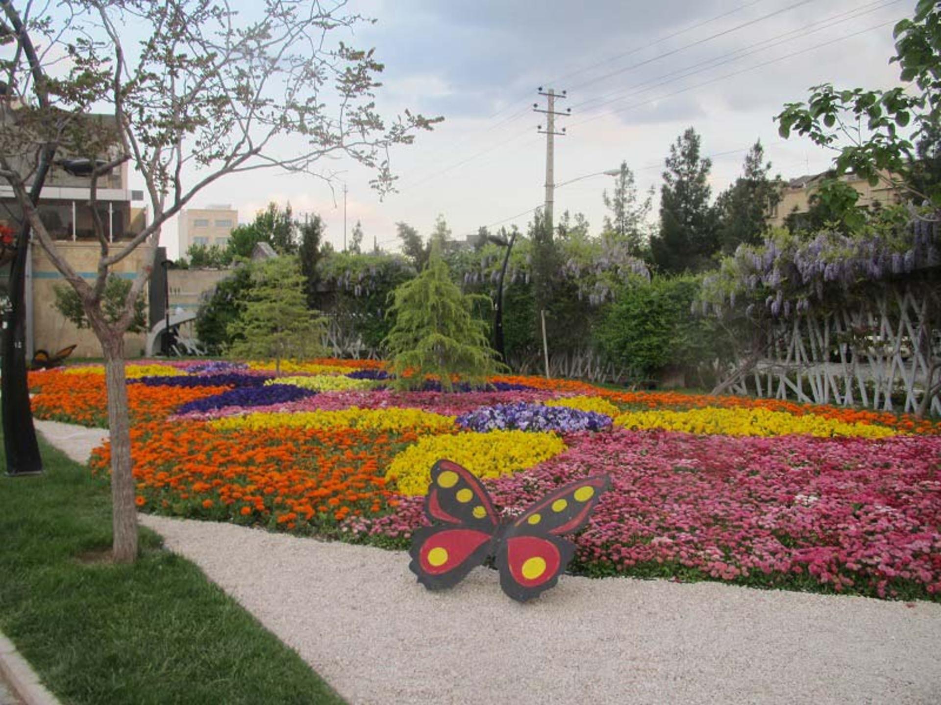 گل های رنگارنگ در باغ گل ها مشهد؛ منبع عکس: گوگل مپ؛ عکاس: Hossein Heidari