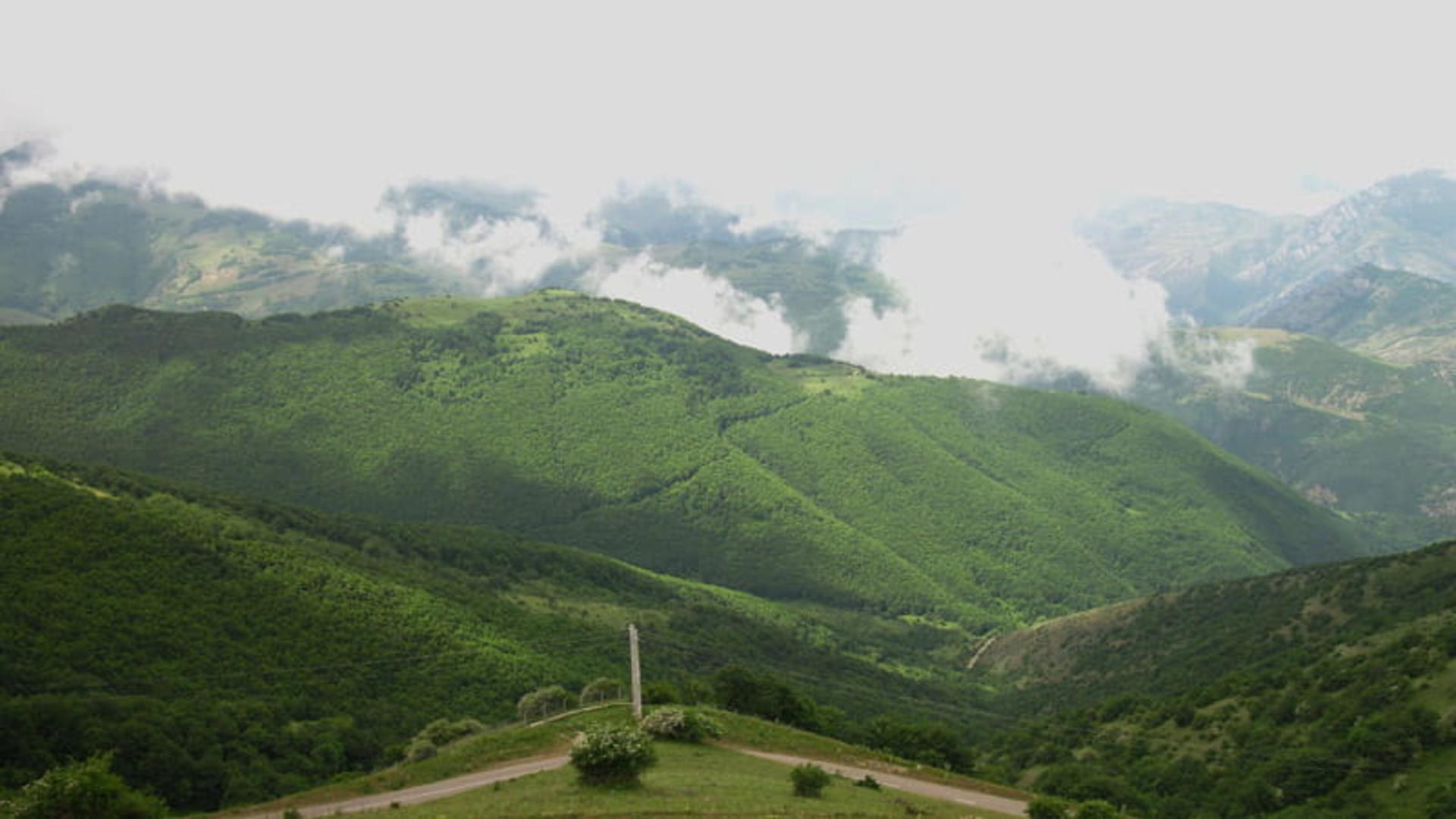 جنگل ارسباران مه گرفته، منبع عکس: ویکی مدیا، عکاس: عبدالصمد طالب پور