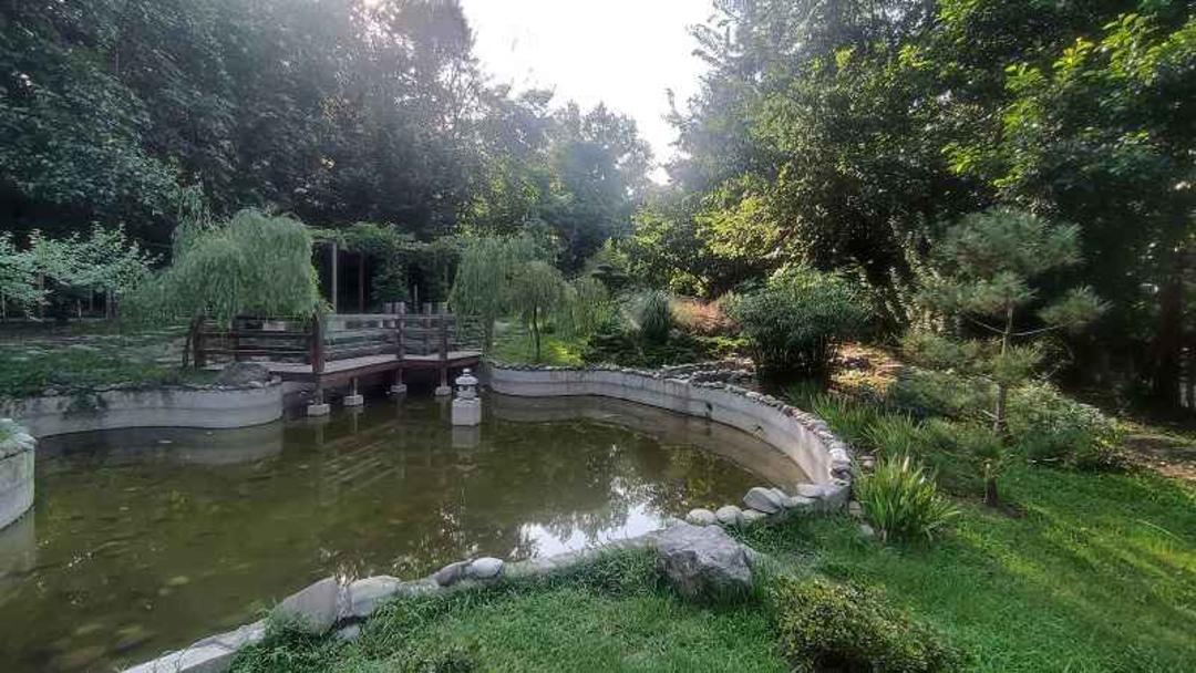 برکه آب بوستان مفاخر رشت