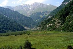 کوهستان مه گرفته در جنگل دیزمار، منبع عکس: خبرگزاری برنا، عکاس: نامشخص