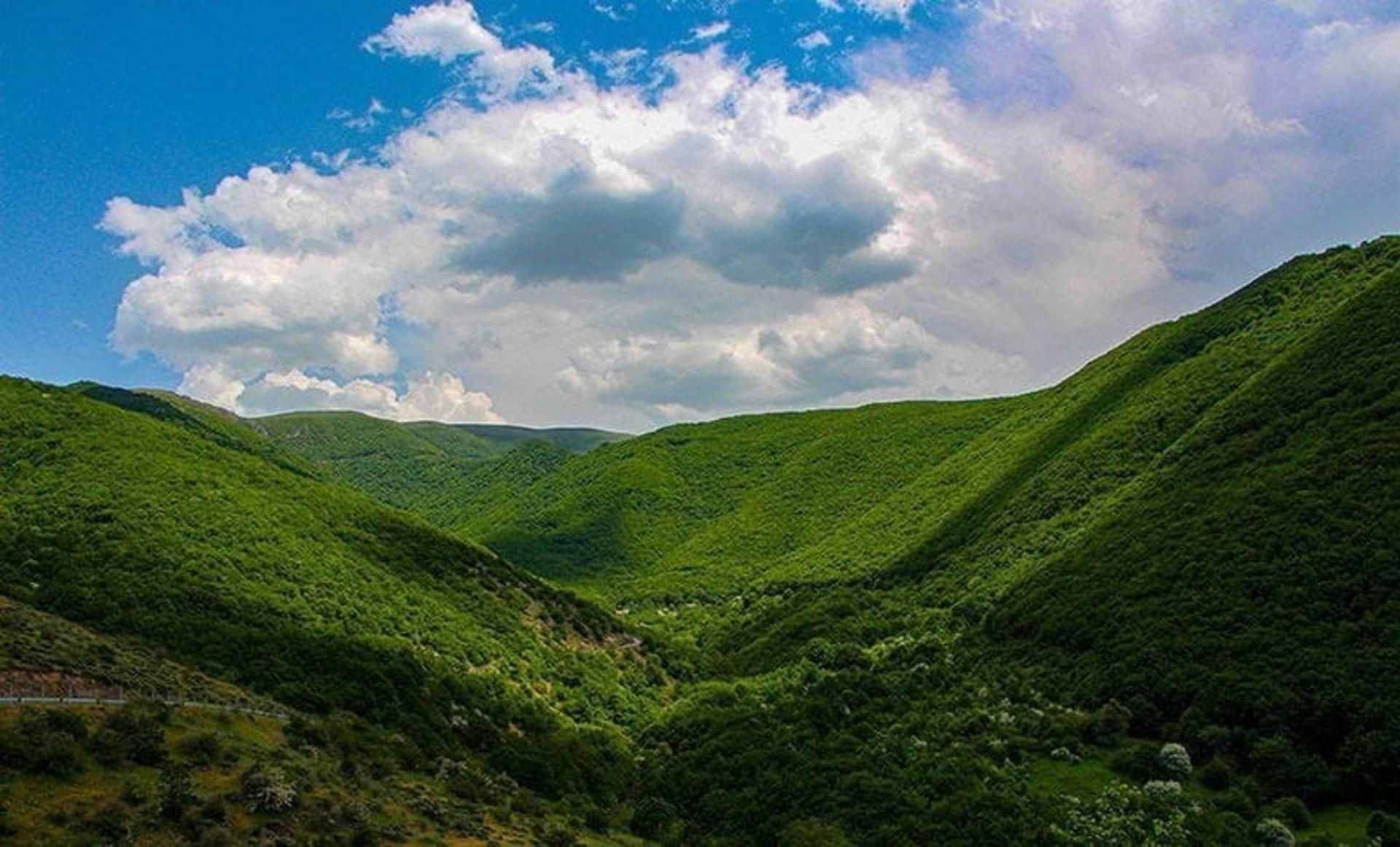 تپه های سرسبز جنگل ارسباران، منبع عکس: ویکی مدیا، عکاس: مهدی دیلاری