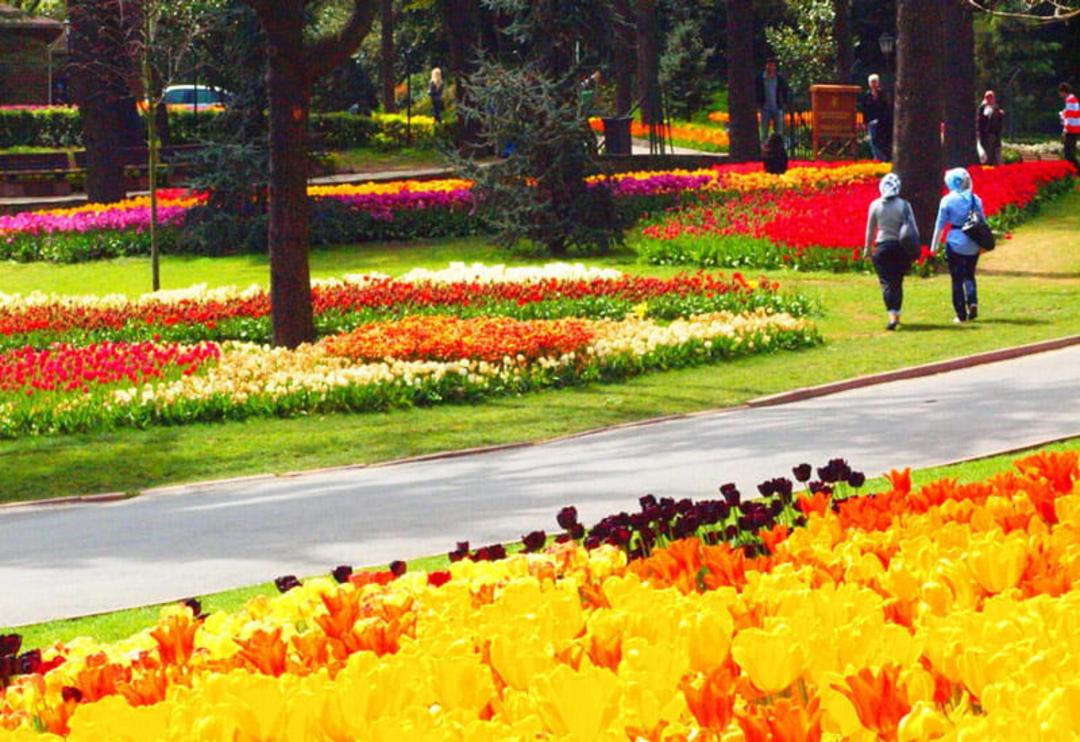 باغچه های گل کاری شده در پارک امیرگان