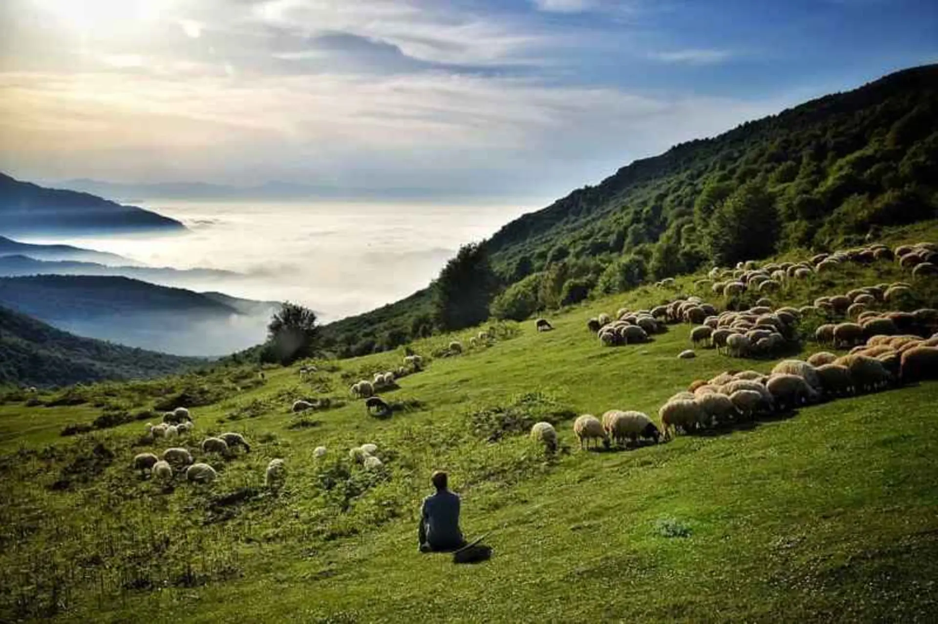 چرای دام ها در ارتفاعات دیلمان